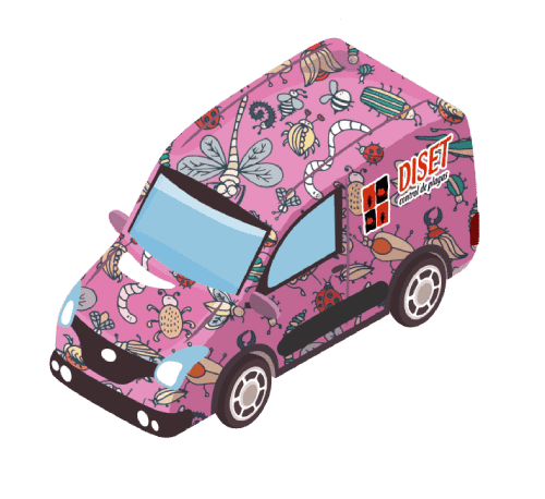 furgoneta diset rosa
