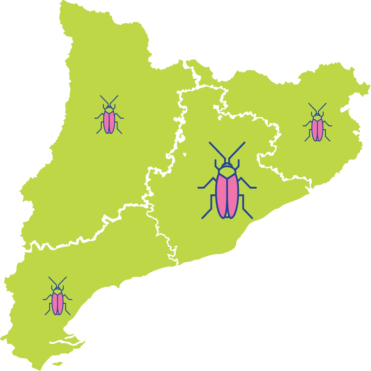 mapa catalunya diset