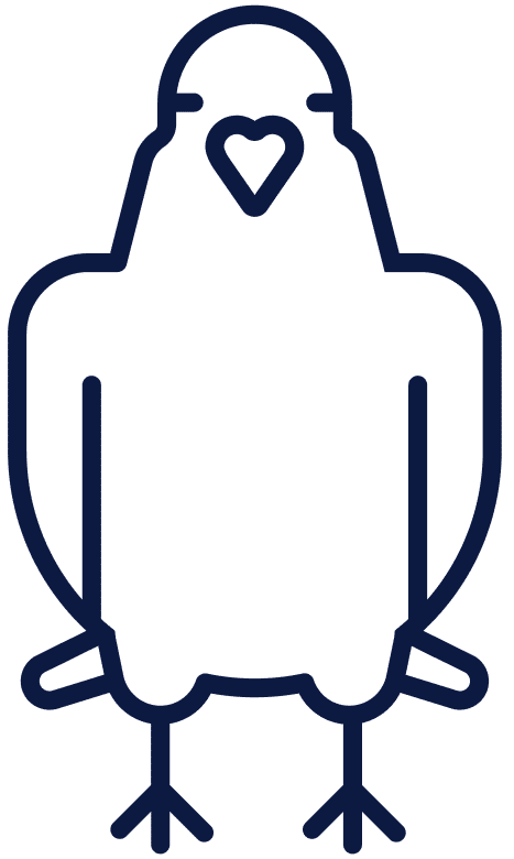 icono aves png
