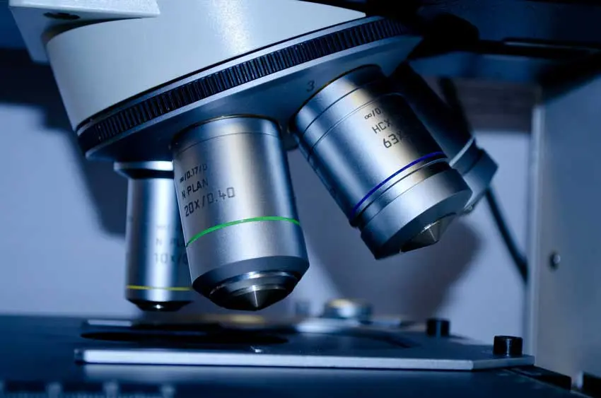 control legionella microscopio