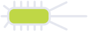 legionela