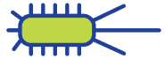 icono legionella diset control de plagas