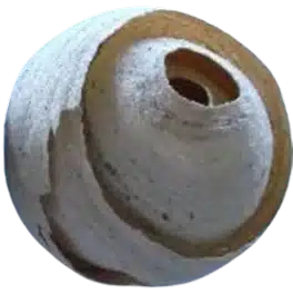 nido avispa asiatica